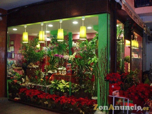 FLORISTERIA